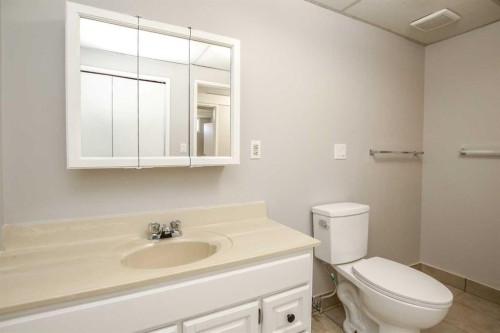 69 Erickson Drive, Red Deer, AB - Indoor Photo Showing Bathroom