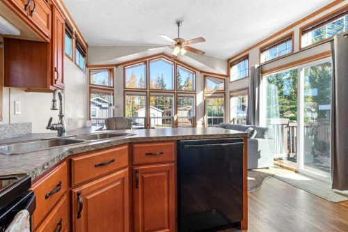 160A-10042 Township Road 422, Rural Ponoka County, AB - Indoor Photo Showing Kitchen With Double Sink