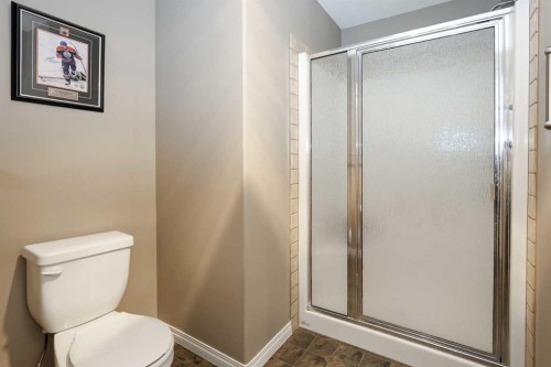 26 Jenner Crescent, Red Deer, AB - Indoor Photo Showing Bathroom