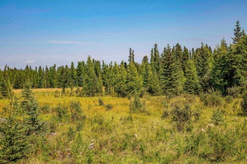 On Range Road 33, Rural Red Deer County, AB 