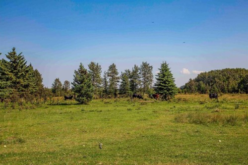 On Range Road 33, Rural Red Deer County, AB 