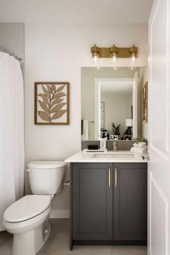 329 Creekside Drive Sw, Calgary, AB - Indoor Photo Showing Bathroom
