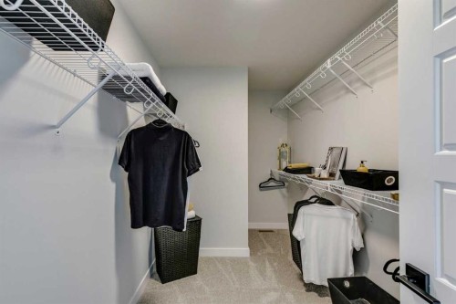 249 Dawson Wharf Crescent, Chestermere, AB - Indoor With Storage