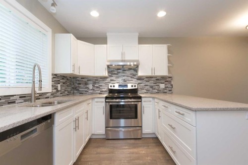12504 119 Avenue Nw, Edmonton, AB - Indoor Photo Showing Kitchen With Double Sink With Upgraded Kitchen