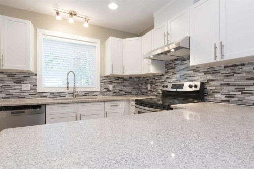 12504 119 Avenue Nw, Edmonton, AB - Indoor Photo Showing Kitchen With Double Sink With Upgraded Kitchen