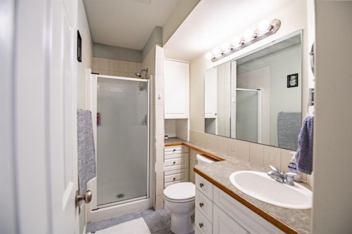 82 Westglen Boulevard, Blackfalds, AB - Indoor Photo Showing Bathroom