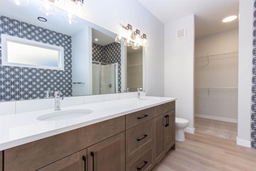 41 Terra Close, Red Deer, AB - Indoor Photo Showing Bathroom
