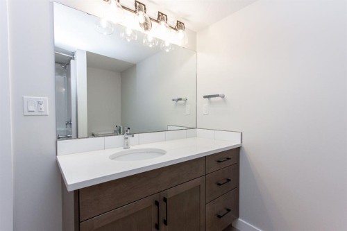 41 Terra Close, Red Deer, AB - Indoor Photo Showing Bathroom