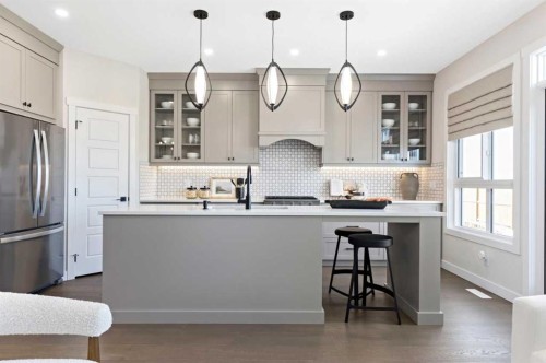 116 Huxland Close Ne, Calgary, AB - Indoor Photo Showing Kitchen With Upgraded Kitchen