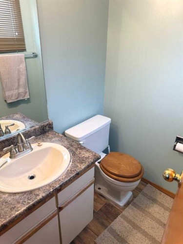 4604 Womacks Road, Blackfalds, AB - Indoor Photo Showing Bathroom