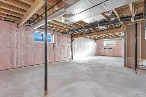 19 Everson Close, Red Deer, AB - Indoor Photo Showing Basement