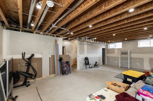 4828 55 Boulevard Close, Innisfail, AB - Indoor Photo Showing Basement
