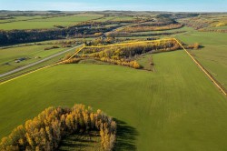 On Highway 11  Rural Lacombe County, AB T4P 1A3