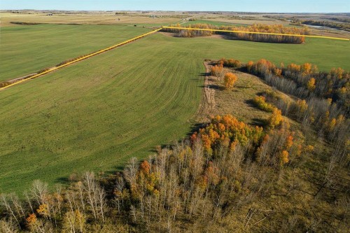 On Highway 11, Rural Lacombe County, AB 