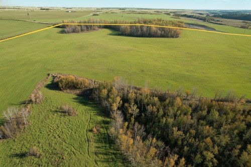 On Highway 11, Rural Lacombe County, AB 