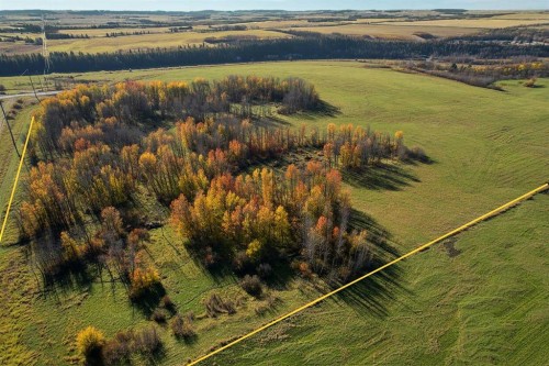 On Highway 11, Rural Lacombe County, AB 