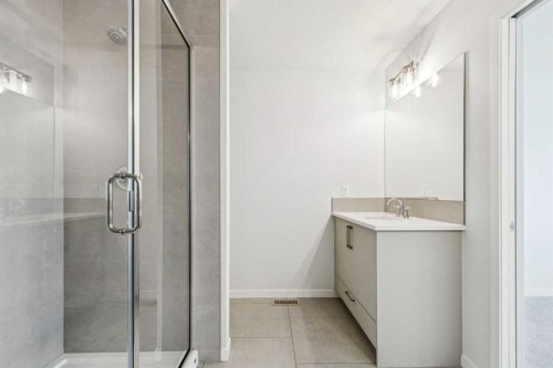 335 Herron Landing Ne, Calgary, AB - Indoor Photo Showing Bathroom