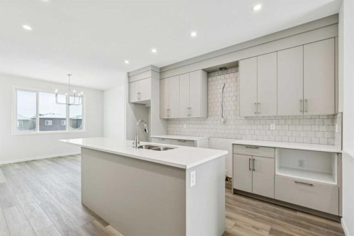 335 Herron Landing Ne, Calgary, AB - Indoor Photo Showing Kitchen With Double Sink