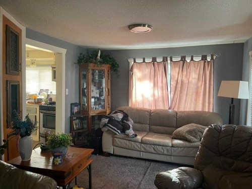 3629 51 Avenue, Red Deer, AB - Indoor Photo Showing Living Room
