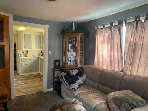 3629 51 Avenue, Red Deer, AB - Indoor Photo Showing Living Room