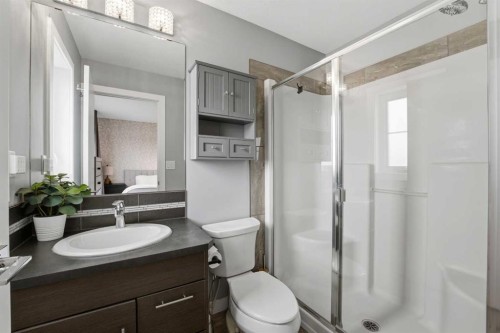 17 Vermont Close, Blackfalds, AB - Indoor Photo Showing Bathroom