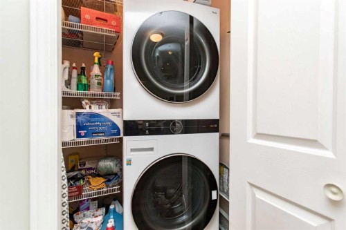 344-56 Carroll Crescent, Red Deer, AB - Indoor Photo Showing Laundry Room