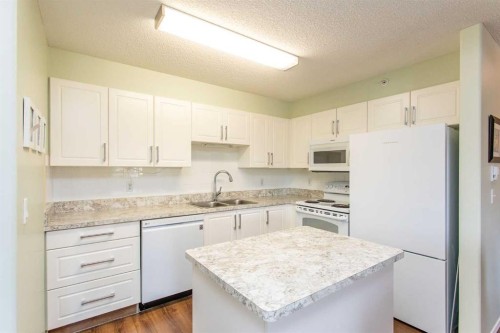 344-56 Carroll Crescent, Red Deer, AB - Indoor Photo Showing Kitchen With Double Sink