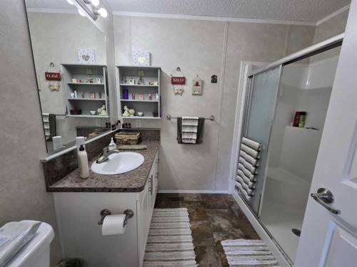 4916 49 Street, Botha, AB - Indoor Photo Showing Bathroom