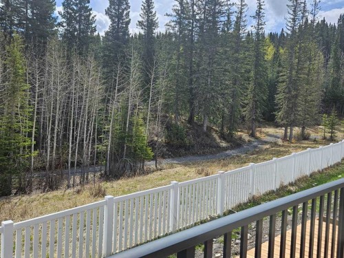 351 Elizabeth Avenue, Nordegg, AB - Outdoor