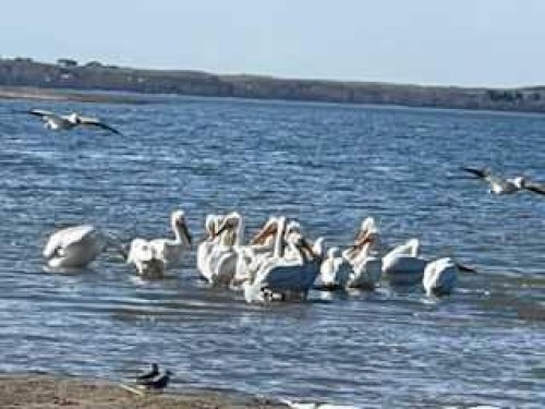 606 Pigeon Close, Pelican Point, AB - Outdoor With Body Of Water With View