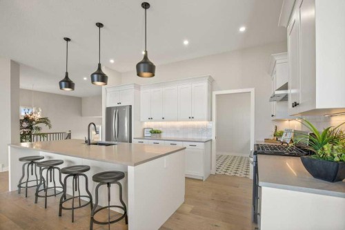 10 Twin Rose Court, Jarvis Bay, AB - Indoor Photo Showing Kitchen With Upgraded Kitchen