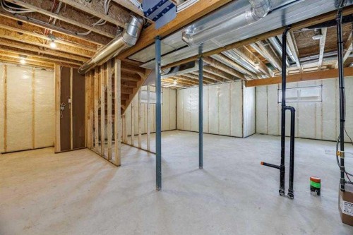 55 Everson Close, Red Deer, AB - Indoor Photo Showing Basement