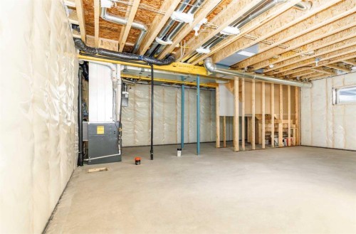 55 Everson Close, Red Deer, AB - Indoor Photo Showing Basement