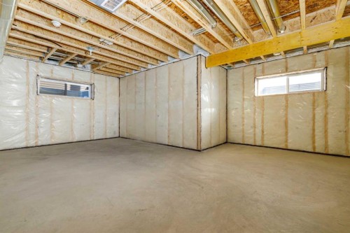 55 Everson Close, Red Deer, AB - Indoor Photo Showing Basement
