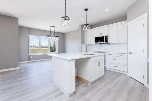 55 Everson Close, Red Deer, AB - Indoor Photo Showing Kitchen With Upgraded Kitchen