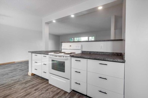 5607 48 Avenue, Lacombe, AB - Indoor Photo Showing Kitchen