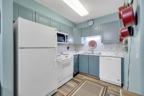 131-56 Carroll Crescent, Red Deer, AB - Indoor Photo Showing Kitchen