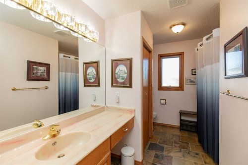 50 Coventry Lane, Lacombe, AB - Indoor Photo Showing Bathroom