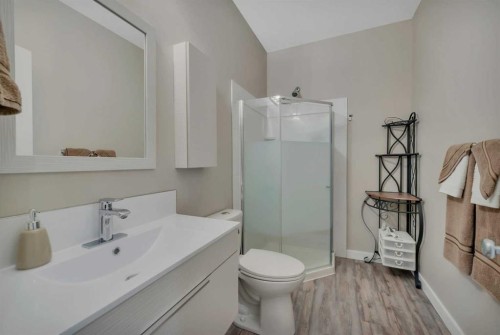 232 Wiley Crescent, Red Deer, AB - Indoor Photo Showing Bathroom
