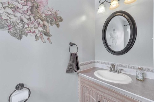 39228 Range Road 255, Rural Lacombe County, AB - Indoor Photo Showing Bathroom