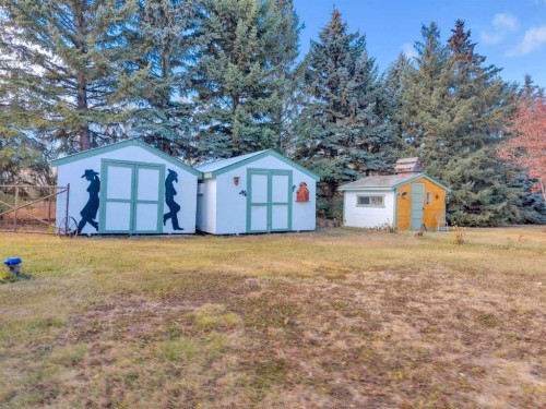 39228 Range Road 255, Rural Lacombe County, AB - Outdoor