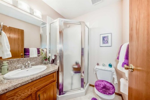 182 Donnelly Crescent, Red Deer, AB - Indoor Photo Showing Bathroom