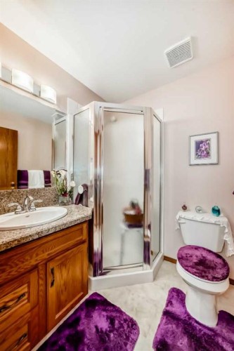 182 Donnelly Crescent, Red Deer, AB - Indoor Photo Showing Bathroom