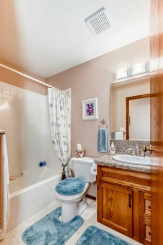 182 Donnelly Crescent, Red Deer, AB - Indoor Photo Showing Bathroom