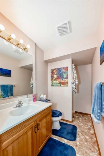 182 Donnelly Crescent, Red Deer, AB - Indoor Photo Showing Bathroom