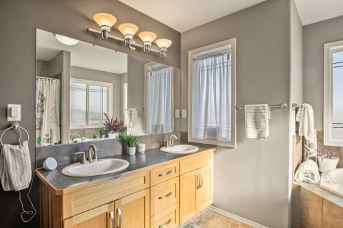 15 Issard Close, Red Deer, AB - Indoor Photo Showing Bathroom