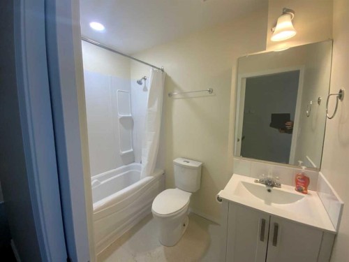 416 Arena, Trochu, AB - Indoor Photo Showing Bathroom