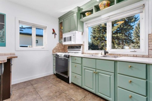 3742 44 Avenue, Red Deer, AB - Indoor Photo Showing Kitchen With Double Sink