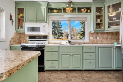 3742 44 Avenue, Red Deer, AB - Indoor Photo Showing Kitchen
