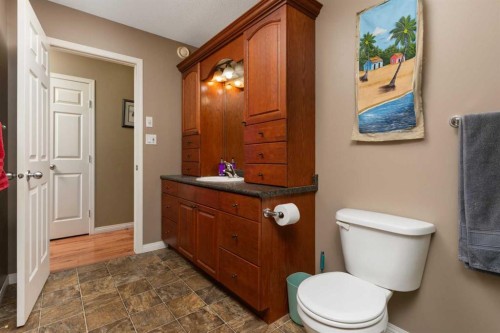 43440 Range Road 113, Rural Flagstaff County, AB - Indoor Photo Showing Bathroom